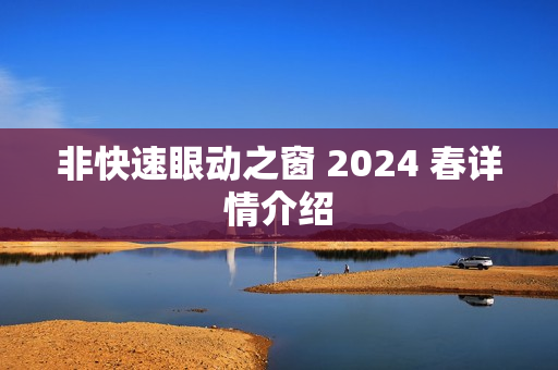 非快速眼动之窗 2024 春详情介绍