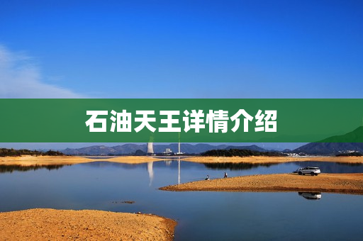 石油天王详情介绍 石油天王详情介绍