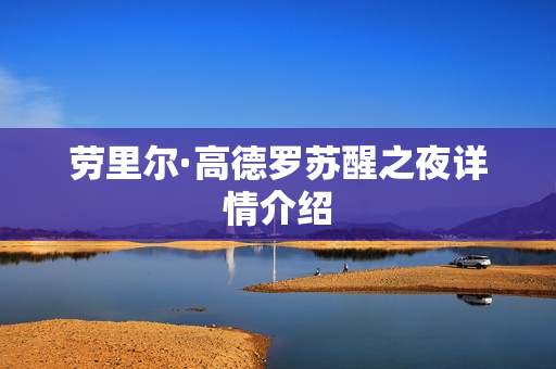 劳里尔·高德罗苏醒之夜详情介绍