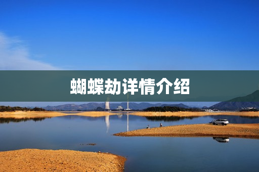 蝴蝶劫详情介绍