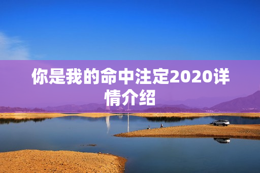 你是我的命中注定2020详情介绍