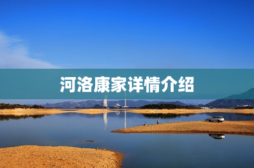 河洛康家详情介绍