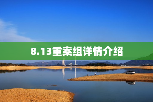 8.13重案组详情介绍 8.13重案组详情介绍