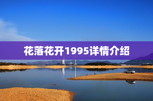 花落花开1995详情介绍