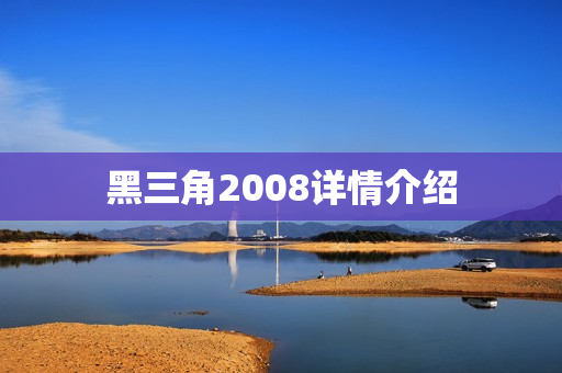 黑三角2008详情介绍