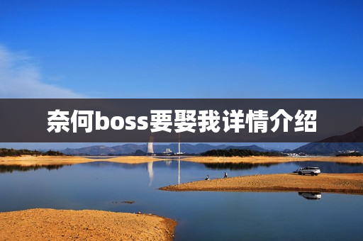 奈何boss要娶我详情介绍