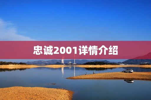 忠诚2001详情介绍