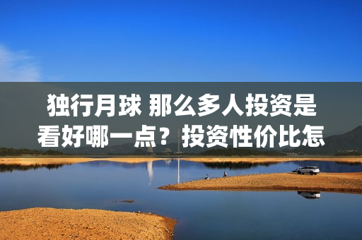 独行月球 那么多人投资是看好哪一点？投资性价比怎样？(独行月球结局什么意思)