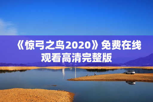 《惊弓之鸟2020》免费在线观看高清完整版