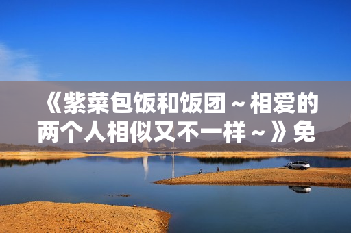 《紫菜包饭和饭团～相爱的两个人相似又不一样～》免费在线观看高清完整版