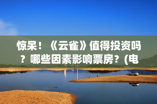 惊呆！《云雀》值得投资吗？哪些因素影响票房？(电影云雀)