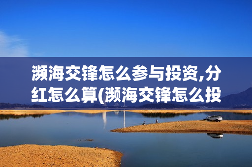 濒海交锋怎么参与投资,分红怎么算(濒海交锋怎么投)