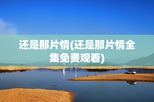 还是那片情(还是那片情全集免费观看)