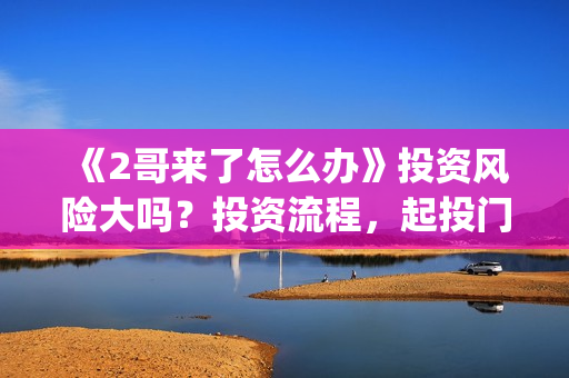 《2哥来了怎么办》投资风险大吗？投资流程，起投门槛高吗？(2哥来了怎么办上映时间)