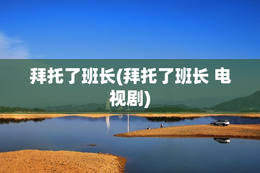 拜托了班长(拜托了班长 电视剧)