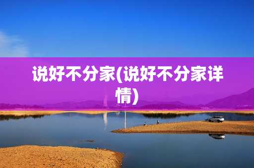 说好不分家(说好不分家详情)