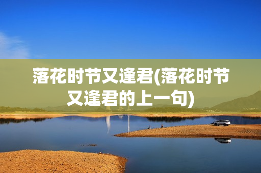 落花时节又逢君(落花时节又逢君的上一句)