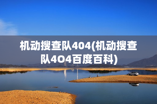 机动搜查队404(机动搜查队4O4百度百科)