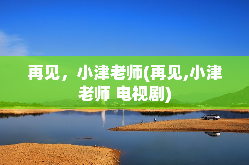 再见，小津老师(再见,小津老师 电视剧)