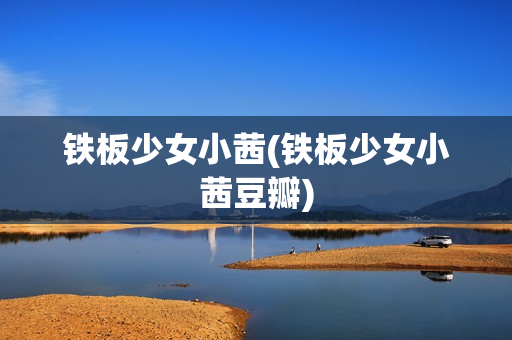 铁板少女小茜(铁板少女小茜豆瓣)