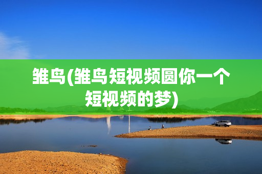 雏鸟(雏鸟短视频圆你一个短视频的梦)
