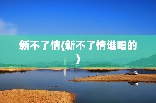 新不了情(新不了情谁唱的)