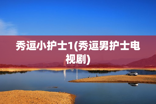 秀逗小护士1(秀逗男护士电视剧)