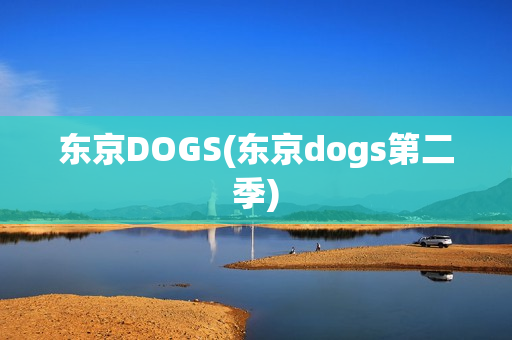 东京DOGS(东京dogs第二季)