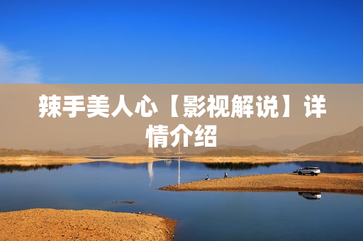 辣手美人心【影视解说】详情介绍