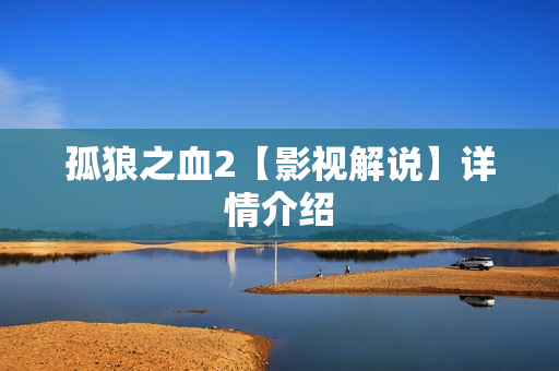 孤狼之血2【影视解说】详情介绍