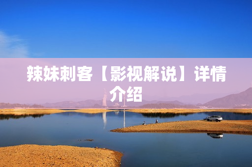 辣妹刺客【影视解说】详情介绍