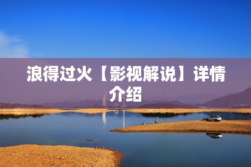 浪得过火【影视解说】详情介绍