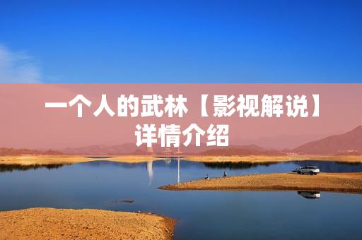 一个人的武林【影视解说】详情介绍