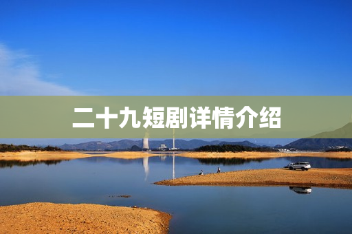 二十九短剧详情介绍
