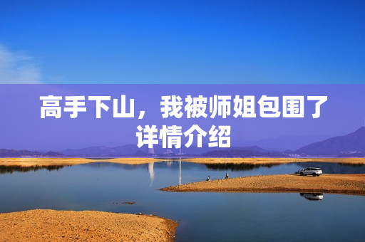 高手下山，我被师姐包围了详情介绍