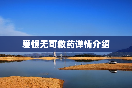 爱恨无可救药详情介绍