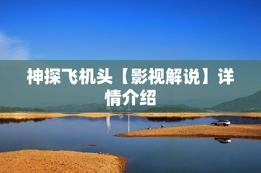 神探飞机头【影视解说】详情介绍 神探飞机头【影视解说】详情介绍