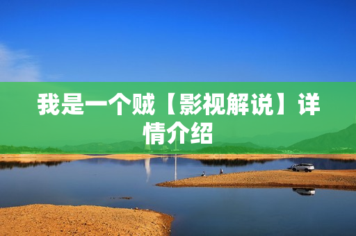 我是一个贼【影视解说】详情介绍 我是一个贼【影视解说】详情介绍