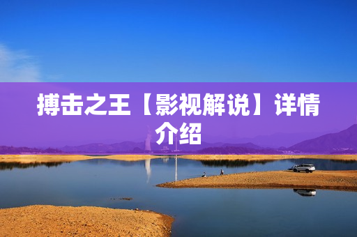 搏击之王【影视解说】详情介绍