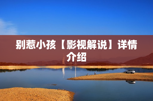 别惹小孩【影视解说】详情介绍