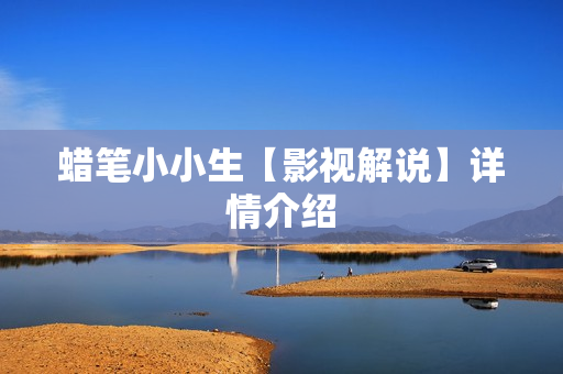 蜡笔小小生【影视解说】详情介绍