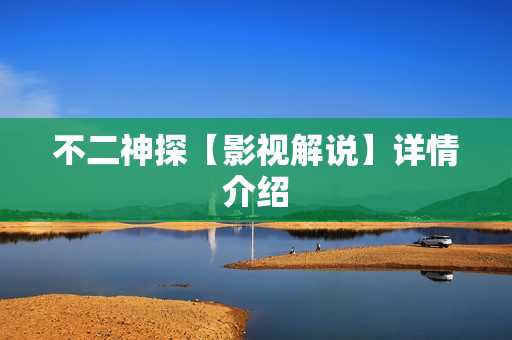 不二神探【影视解说】详情介绍