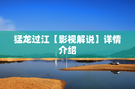 猛龙过江【影视解说】详情介绍