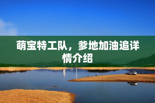 萌宝特工队，爹地加油追详情介绍