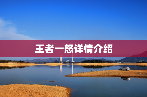 王者一怒详情介绍