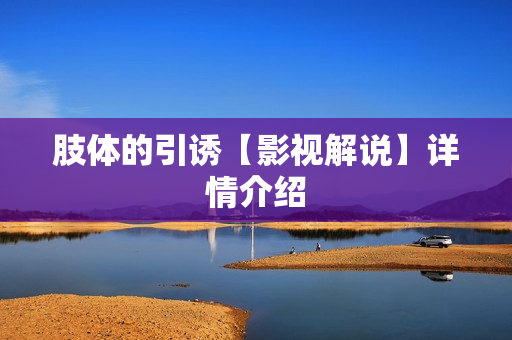 肢体的引诱【影视解说】详情介绍