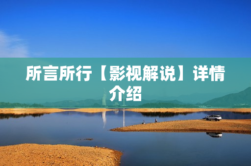 所言所行【影视解说】详情介绍