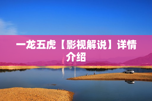 一龙五虎【影视解说】详情介绍