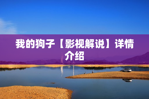 我的狗子【影视解说】详情介绍