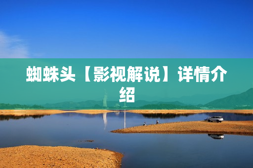 蜘蛛头【影视解说】详情介绍